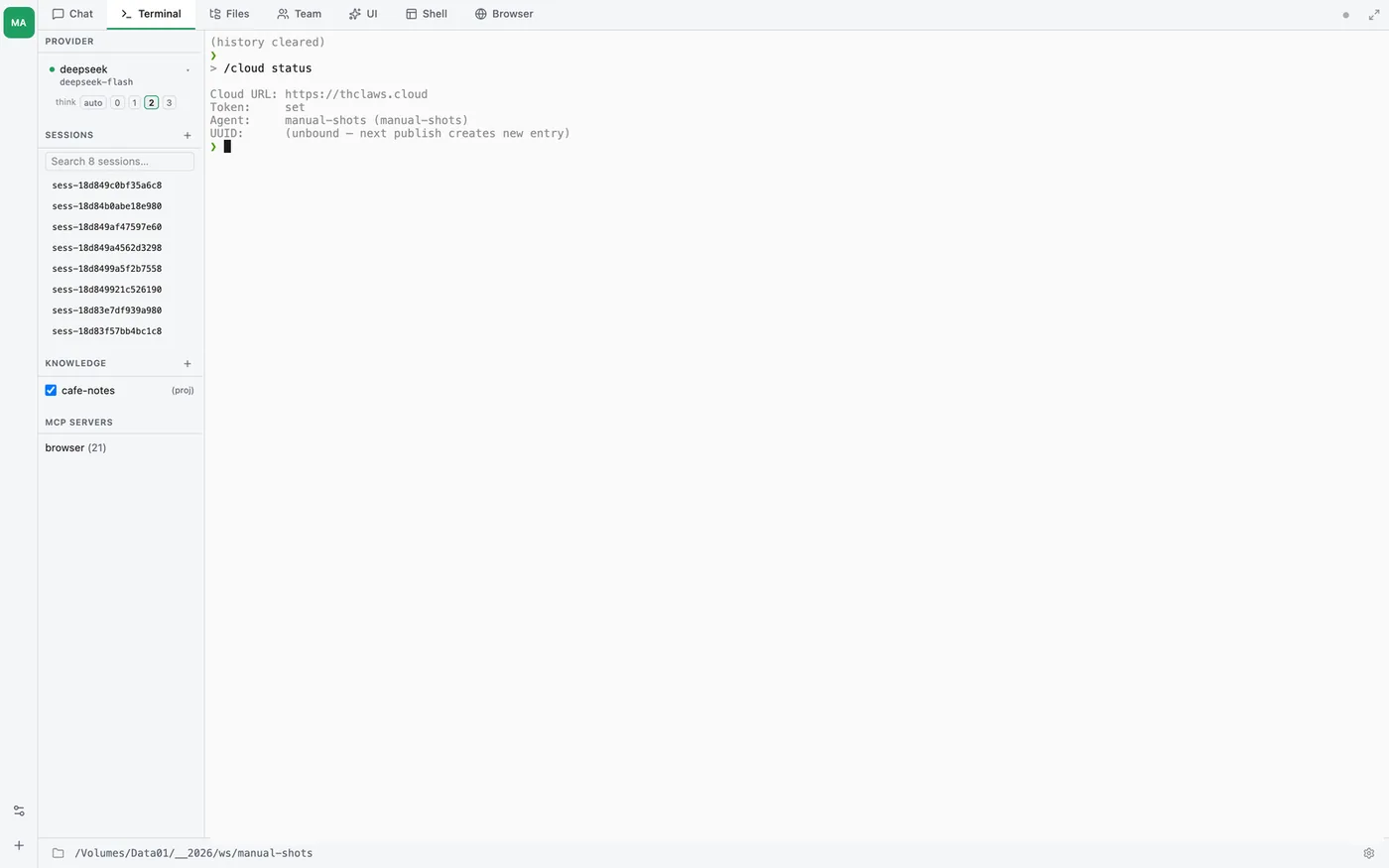/cloud status — the catalog URL, whether a token is stored, and which Agent Template this folder is bound to